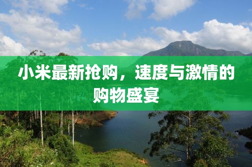 小米最新抢购，速度与激情的购物盛宴