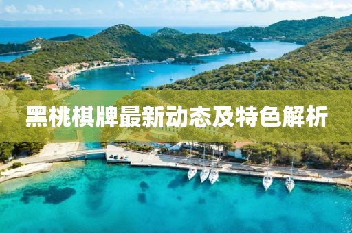 黑桃棋牌最新动态及特色解析