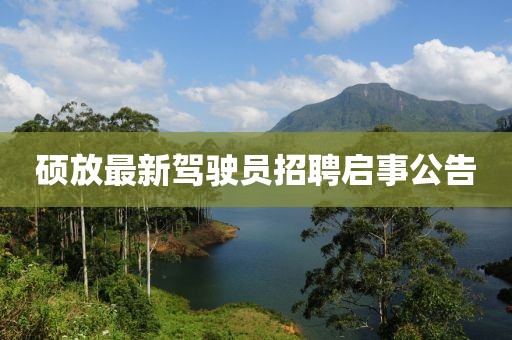 硕放最新驾驶员招聘启事公告