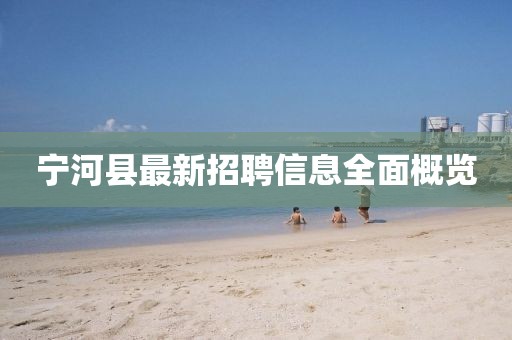 宁河县最新招聘信息全面概览