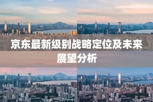 京东最新级别战略定位及未来展望分析