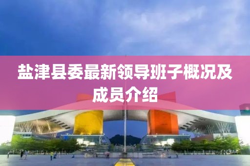 盐津县委最新领导班子概况及成员介绍