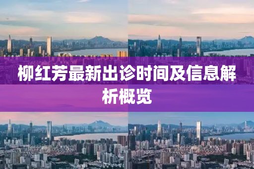 柳红芳最新出诊时间及信息解析概览