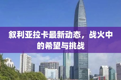 叙利亚拉卡最新动态，战火中的希望与挑战