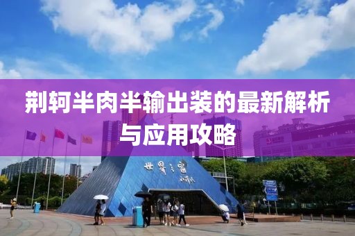 荆轲半肉半输出装的最新解析与应用攻略