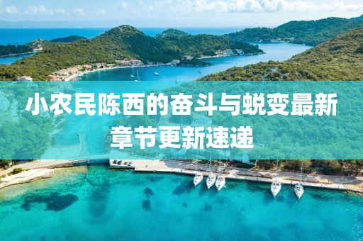 小农民陈西的奋斗与蜕变最新章节更新速递