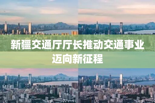 新疆交通厅厅长推动交通事业迈向新征程