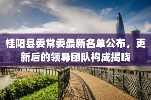桂阳县委常委最新名单公布，更新后的领导团队构成揭晓