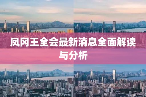 凤冈王全会最新消息全面解读与分析