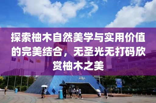 杏头疏影 第26页