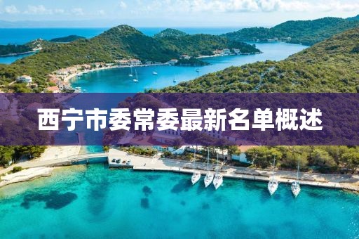 西宁市委常委最新名单概述