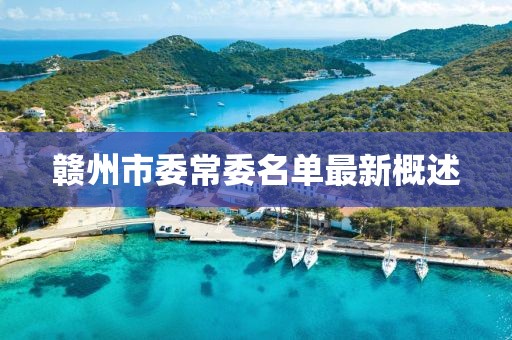 赣州市委常委名单最新概述