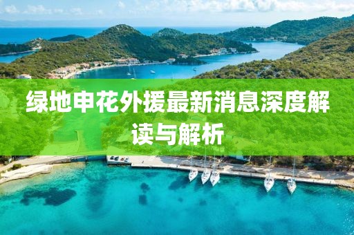 绿地申花外援最新消息深度解读与解析
