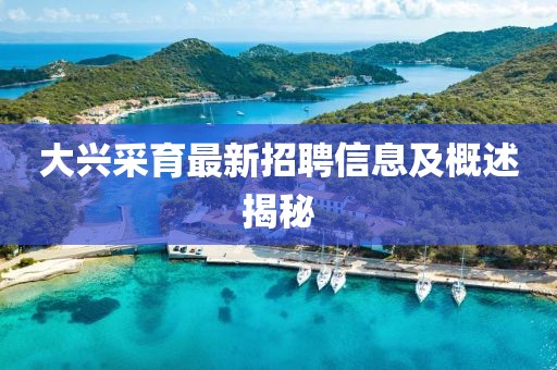 大兴采育最新招聘信息及概述揭秘