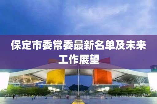保定市委常委最新名单及未来工作展望