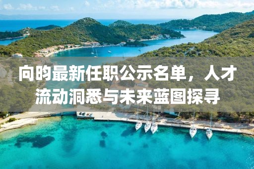 向昀最新任职公示名单，人才流动洞悉与未来蓝图探寻