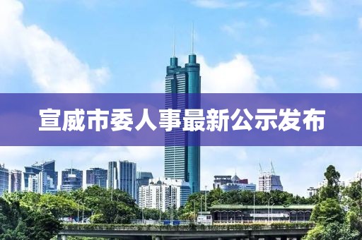 宣威市委人事最新公示发布