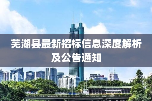 芜湖县最新招标信息深度解析及公告通知