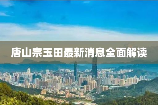 唐山宗玉田最新消息全面解读