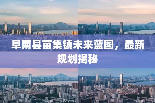 阜南县苗集镇未来蓝图，最新规划揭秘