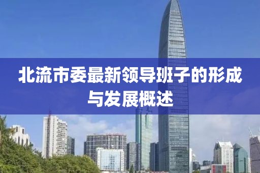 北流市委最新领导班子的形成与发展概述