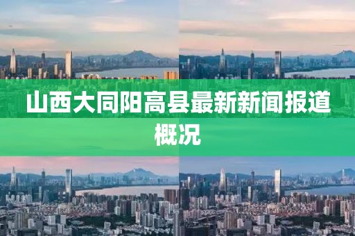 山西大同阳高县最新新闻报道概况