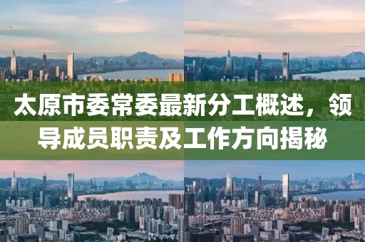 太原市委常委最新分工概述，领导成员职责及工作方向揭秘