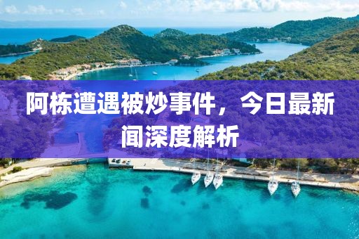 阿栋遭遇被炒事件，今日最新闻深度解析