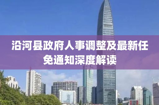 沿河县政府人事调整及最新任免通知深度解读