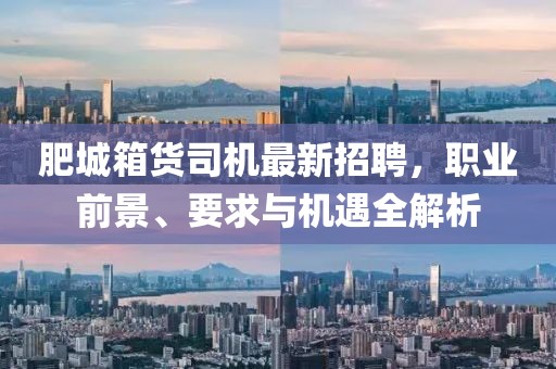 肥城箱货司机最新招聘，职业前景、要求与机遇全解析