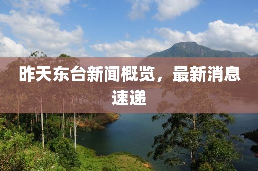 昨天东台新闻概览，最新消息速递