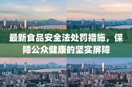 最新食品安全法处罚措施，保障公众健康的坚实屏障