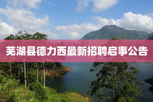 芜湖县德力西最新招聘启事公告