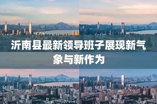 沂南县最新领导班子展现新气象与新作为
