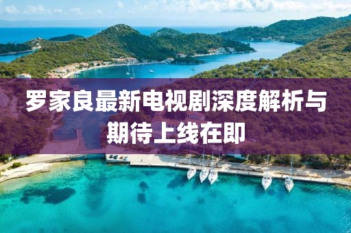 罗家良最新电视剧深度解析与期待上线在即