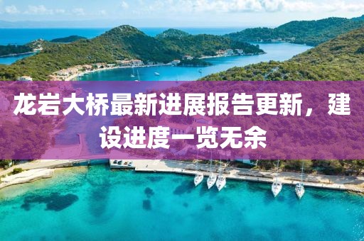龙岩大桥最新进展报告更新，建设进度一览无余