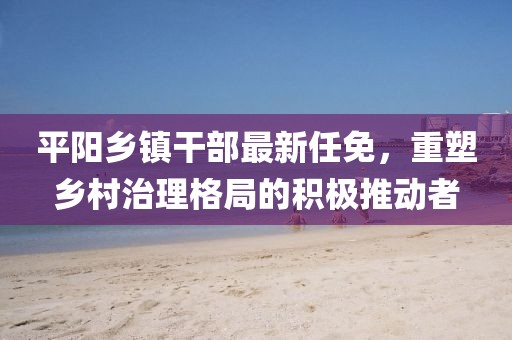 平阳乡镇干部最新任免，重塑乡村治理格局的积极推动者