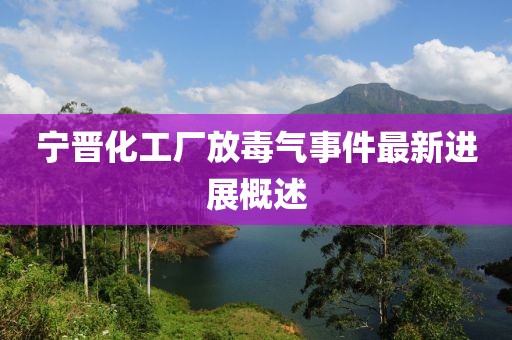 宁晋化工厂放毒气事件最新进展概述