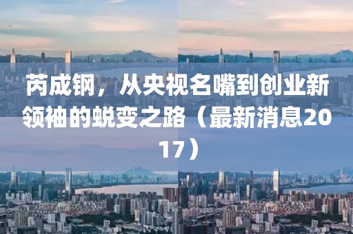 芮成钢，从央视名嘴到创业新领袖的蜕变之路（最新消息2017）