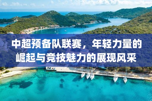 中超预备队联赛，年轻力量的崛起与竞技魅力的展现风采