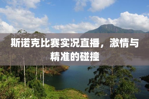 斯诺克比赛实况直播，激情与精准的碰撞