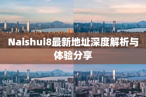 Naishui8最新地址深度解析与体验分享