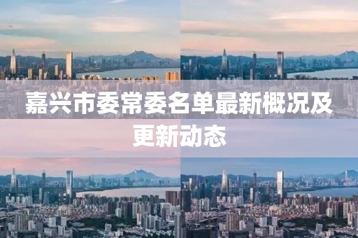 嘉兴市委常委名单最新概况及更新动态