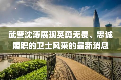 武警沈涛展现英勇无畏、忠诚履职的卫士风采的最新消息