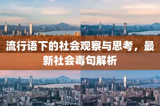 流行语下的社会观察与思考，最新社会毒句解析