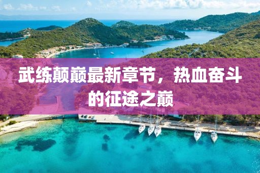 武练颠巅最新章节，热血奋斗的征途之巅