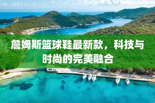 詹姆斯篮球鞋最新款，科技与时尚的完美融合