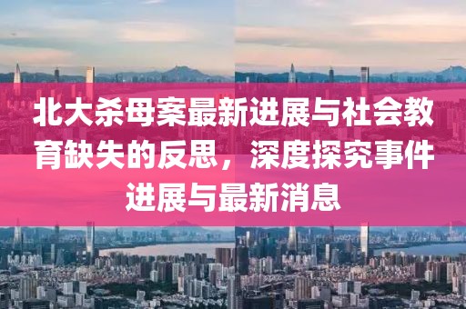 北大杀母案最新进展与社会教育缺失的反思，深度探究事件进展与最新消息