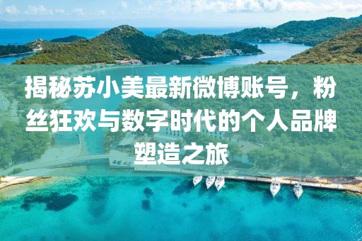 揭秘苏小美最新微博账号，粉丝狂欢与数字时代的个人品牌塑造之旅