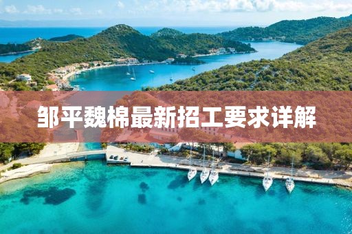 紫色蒲公英 第22页